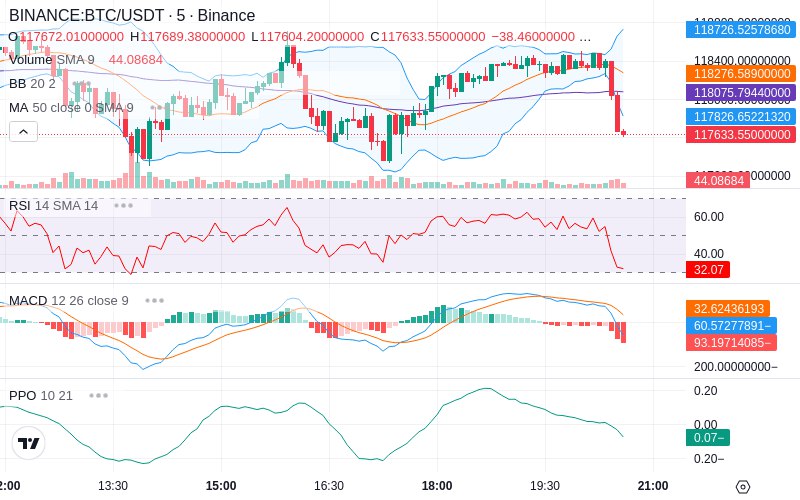 Rent this Ad Spot✨