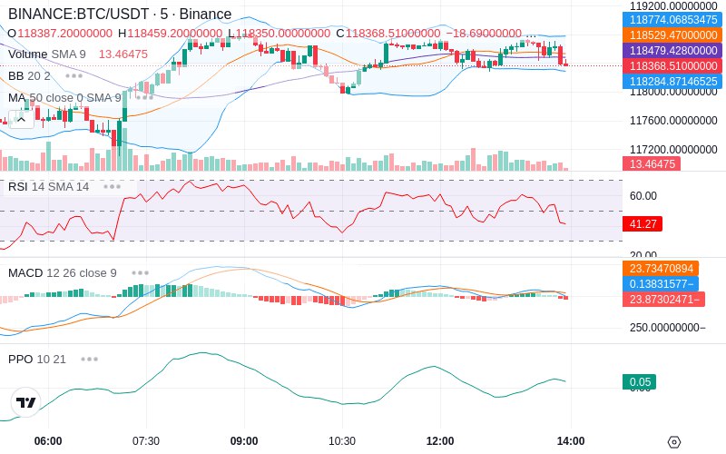 Leverage Your Profits🚀