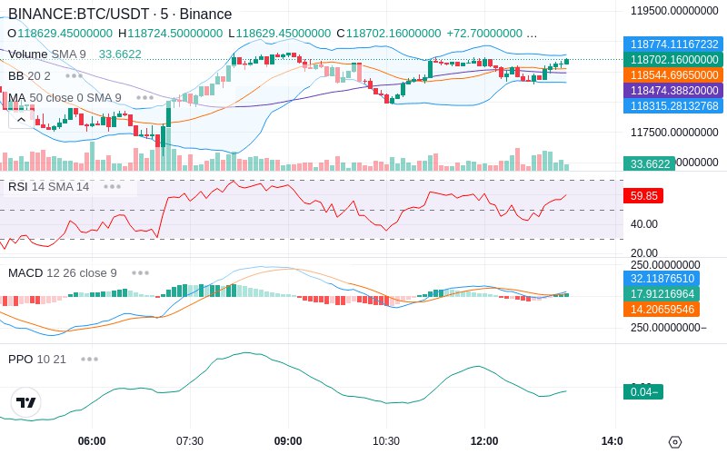 Rent this Ad Spot✨