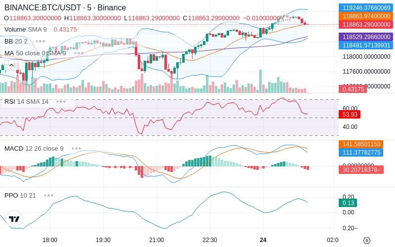 Rent this Ad Spot✨