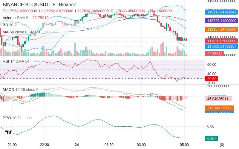 Rent this Ad Spot✨