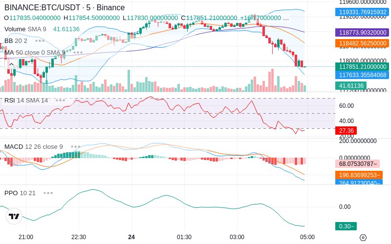 Rent this Ad Spot✨