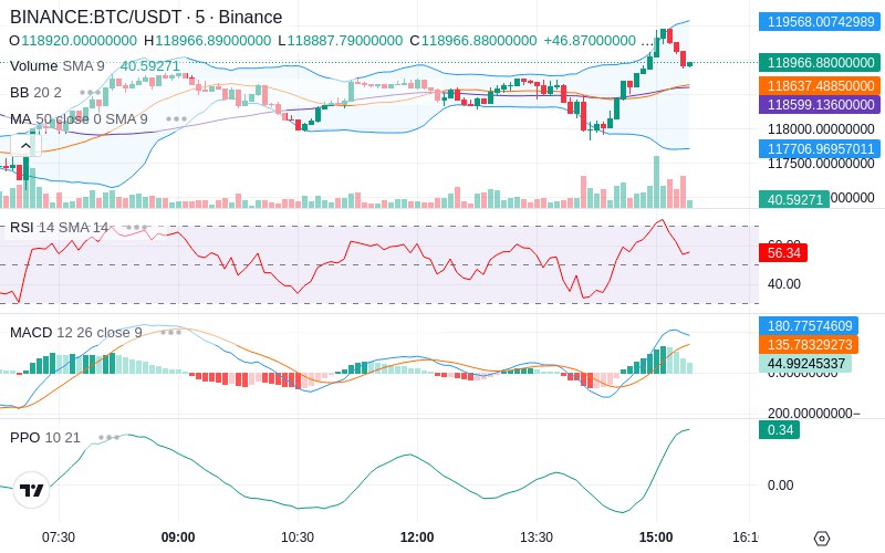 Rent this Ad Spot✨