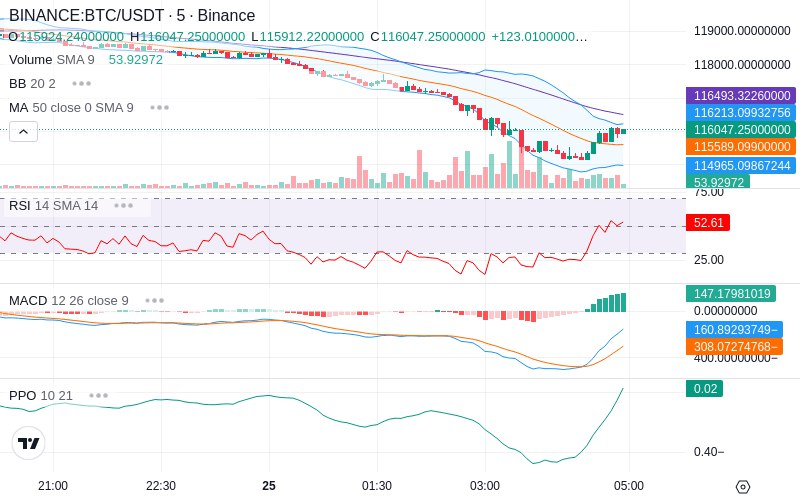 Leverage Your Profits🚀