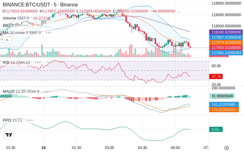 Leverage Your Profits🚀