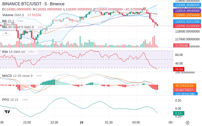 Leverage Your Profits🚀