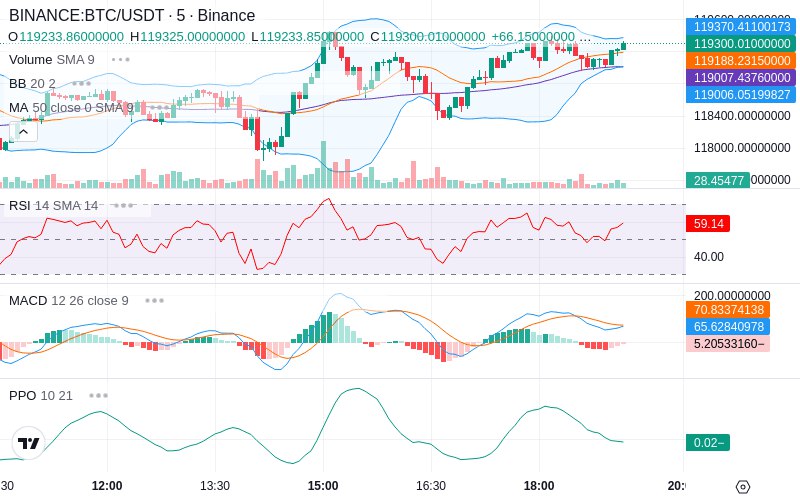 Rent this Ad Spot✨