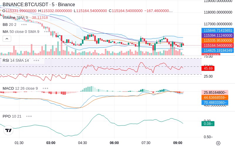 Rent this Ad Spot✨