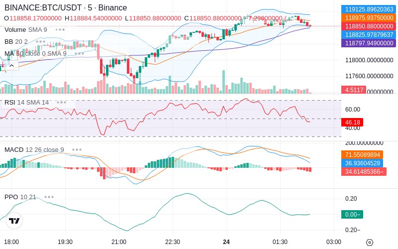 Leverage Your Profits🚀