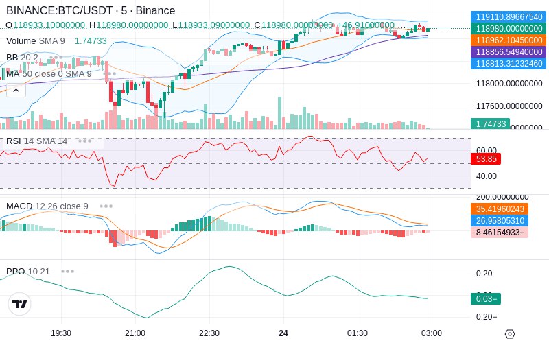 Rent this Ad Spot✨