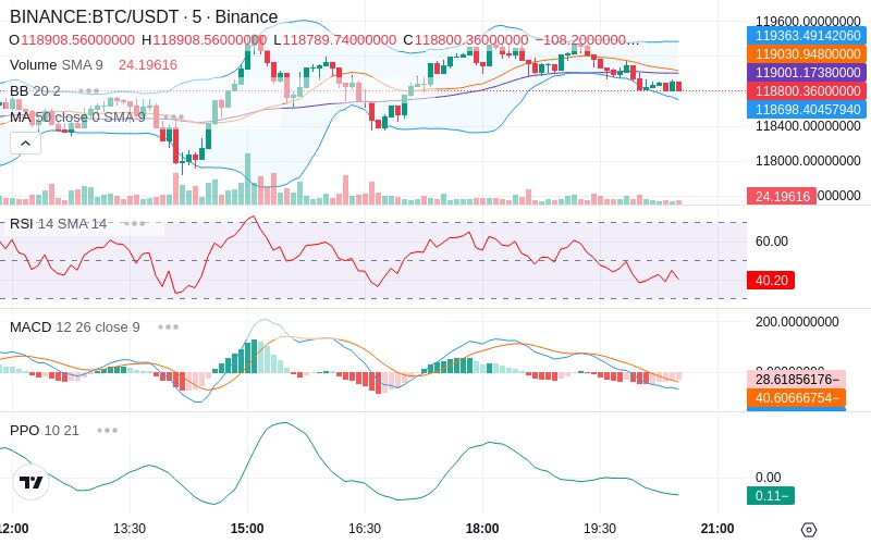 Rent this Ad Spot✨