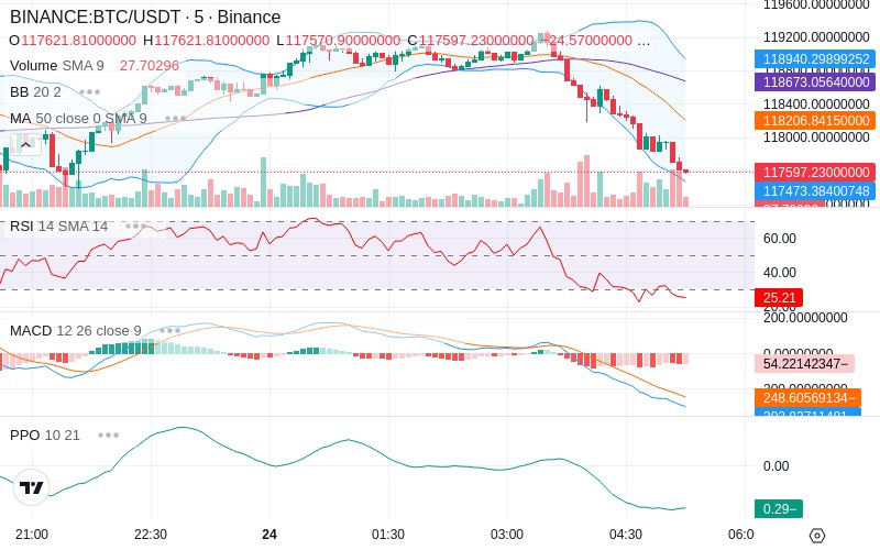 Leverage Your Profits🚀