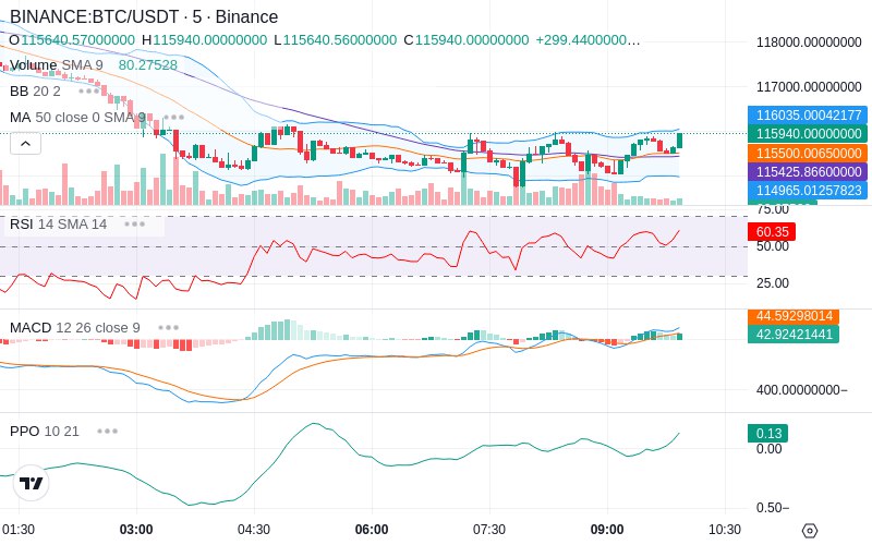 Leverage Your Profits🚀