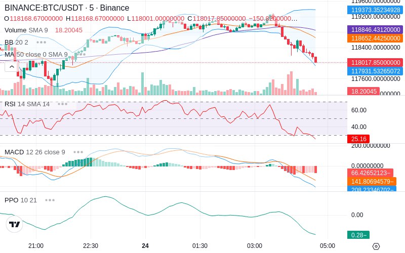 Rent this Ad Spot✨