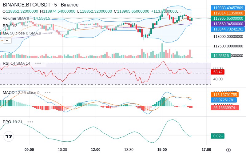 Rent this Ad Spot✨