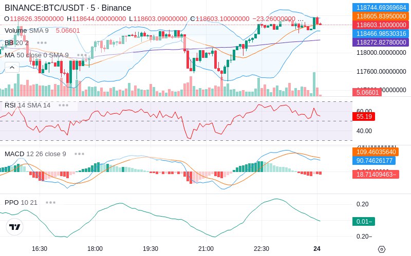 Rent this Ad Spot✨